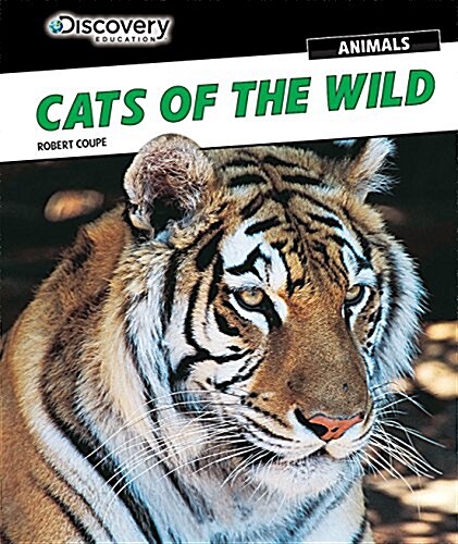 Cats of the Wild (Paperback)