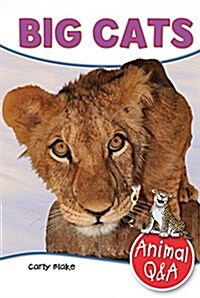 Big Cats (Paperback)