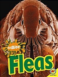 Fleas (Paperback)