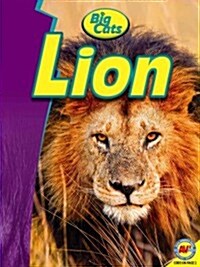 Lion (Paperback)