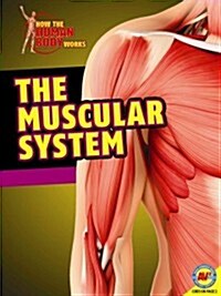 The Muscular System (Paperback)