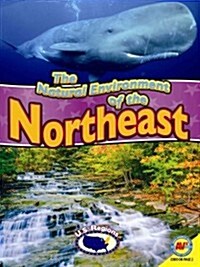 The Natural Environment of the Northeast (Paperback)