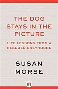 The Dog Stays in the Picture: How My Rescued Greyhound Helped Me Cope with My Empty Nest (Paperback)