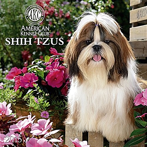 American Kennel Club Shih Tzus Calendar (Wall, 2015)