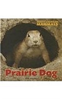 Prairie Dog (Library Binding)