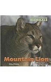 Mountain Lion (Hardcover)