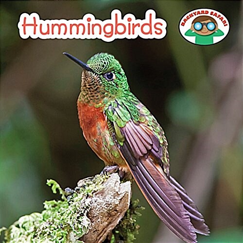 Hummingbirds (Paperback)