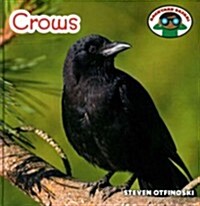 Crows (Library Binding)