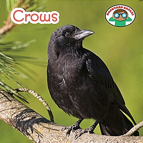 Crows (Paperback)