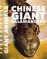 Chinese Giant Salamanders (Library Binding)