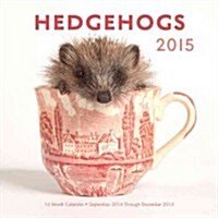 Hedgehogs 2015 Calendar (Paperback, 16-Month, Wall)