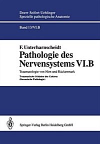 Pathologie Des Nervensystems VI.B: Traumatologie Von Hirn Und R?kenmark Traumatische Sch?en Des Gehirns (Forensische Pathologie) (Paperback, Softcover Repri)