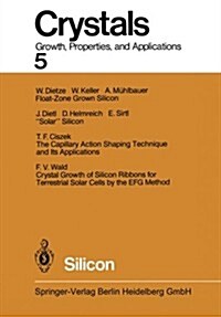 Silicon (Paperback, Softcover Repri)