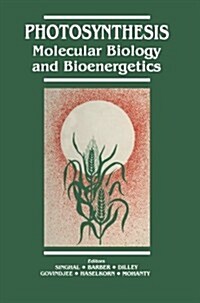 Photosynthesis: Molecular Biology and Bioenergetics (Paperback, Softcover Repri)