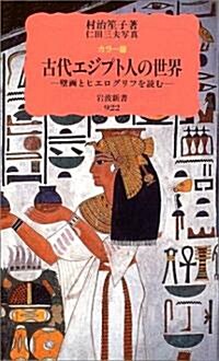 カラ-版 古代エジプト人の世界―壁畵とヒエログリフを讀む (巖波新書) (新書)
