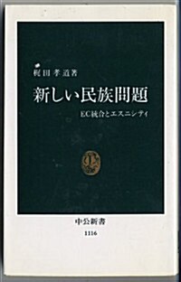 新しい民族問題 (中公新書)