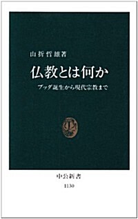 [중고] 佛敎とは何か―ブッダ誕生から現代宗敎まで (中公新書)