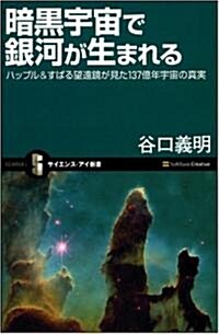 [중고] 暗黑宇宙で銀河が生まれる ハッブル&すばる望遠鏡が見た137億年宇宙の眞實 (サイエンス·アイ新書) (新書)