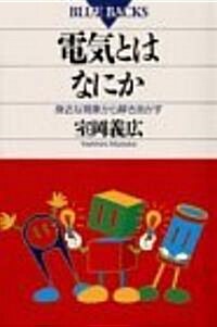 電氣とはなにか―身近な現象から解きあかす (ブル-バックス) (新書)