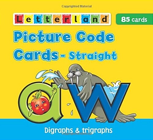 Straight Picture Code Cards (Cards, New ed)