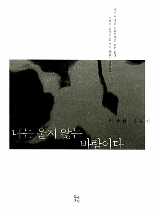 나는 울지 않는 바람이다