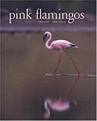 Pink Flamingos: Interviews with Jean-Louis Missika and Dominique Wolton = Le Spectateur Engage (Hardcover)