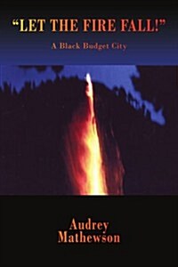 Let the Fire Fall!: A Black Budget City (Paperback)