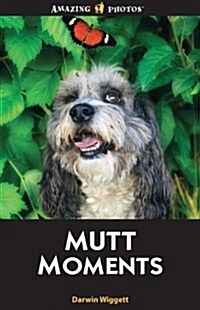 Mutt Moments (Amazing Photos) (Paperback)