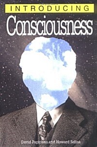 Introducing Consciousness (Paperback)