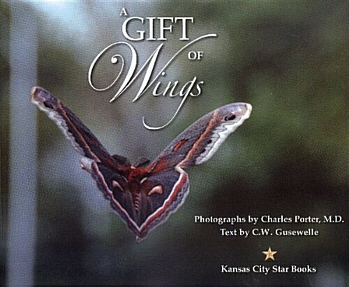 A Gift of Wings (Hardcover)