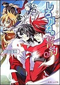 星宿姬傳 しろがねの誓約 (角川ビ-ンズ文庫) (文庫)