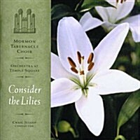[수입] Consider the Lilies