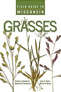 Field Guide to Wisconsin Grasses (Paperback)