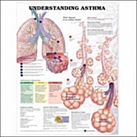 Understanding Asthma Anatomical Chart (Chart, Wall)