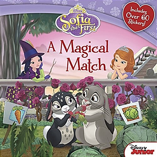 Sofia the First a Magical Match (Paperback)