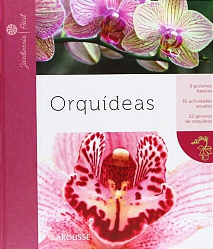 Orqu죆eas / Orchids (Hardcover, Illustrated)
