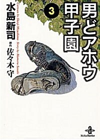 男どアホウ甲子園 (3) (秋田文庫) (文庫)