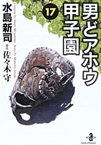 男どアホウ甲子園 (17) (秋田文庫) (文庫)