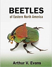 Beetles of Eastern North America (Paperback)