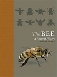 The Bee: A Natural History (Hardcover, Quigley)