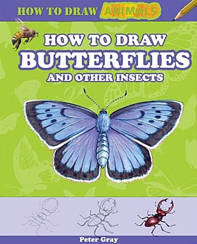 How to Draw Butterflies and Other Insects (Paperback)