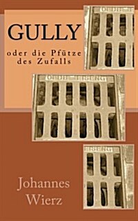 Gully Oder Die Pfuetze Des Zufalls (Paperback)