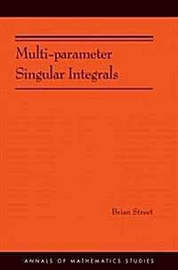 Multi-Parameter Singular Integrals (Hardcover)