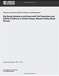 Big Spring Spinedace and Associated Fish Populations and Habitat Conditions in Condor Canyon, Meadow Valley Wash, Nevada (Paperback)