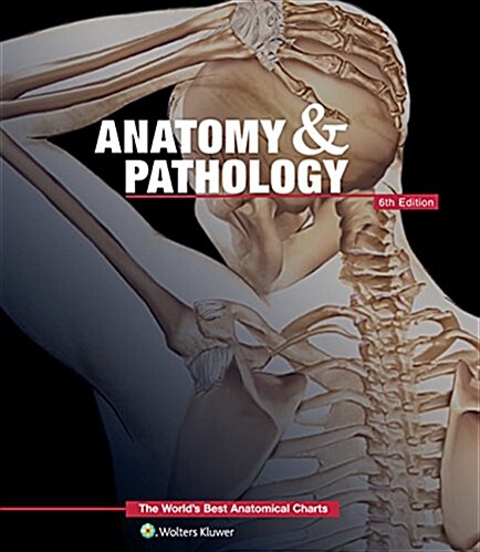 Anatomy & Pathology: The Worlds Best Anatomical Charts Book (Spiral, 6)