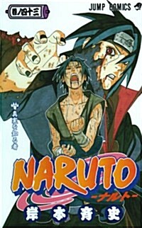 NARUTO―ナルト― 43 (コミック)