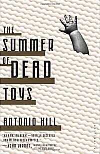 The Summer of Dead Toys (Paperback)