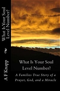 What Is Your Soul Level Number? (Paperback)