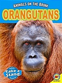 Orangutans (Library Binding)