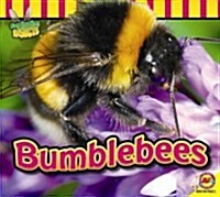 Bumblebees (Hardcover)